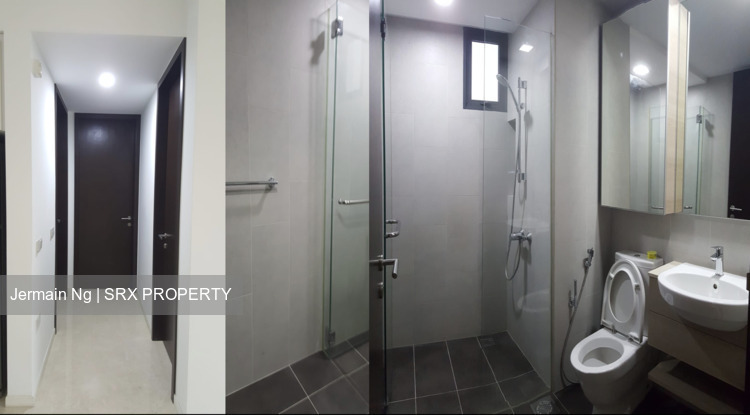 Terrene At Bukit Timah (D21), Condominium #234920741
